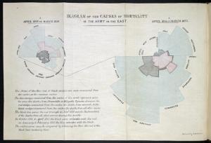 Diagram of the Causes of Mortality in the Army in the East, Florence Nightingale. London, 1858.