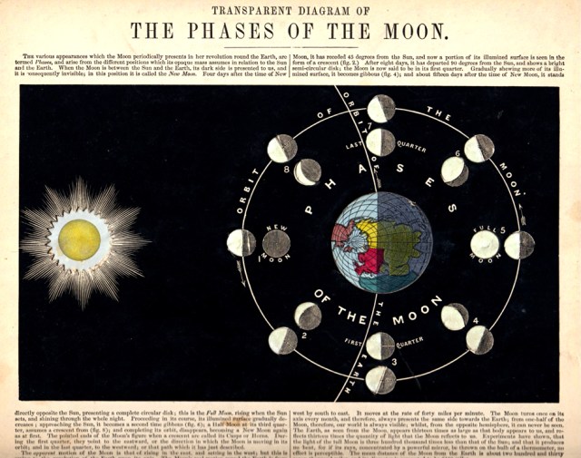 Transparent Diagram of the Phases of the Moon
